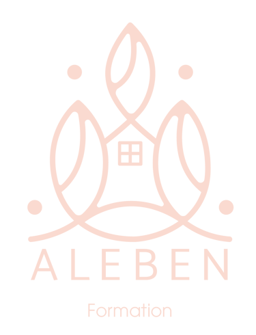 formation animation sociale et accompagnement des intervenants 