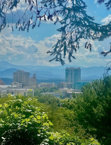 Downtown Asheville in the distance with trees and bushes, representing commercial locksmith services