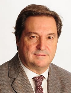 Julio César Alfonsín, diputado provincial