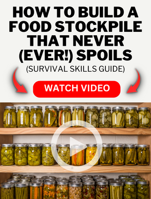 a shelf full of pickles and jars of pickles