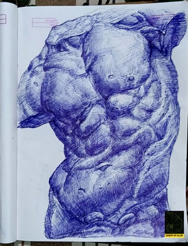 anatomy sculpture art of human torso in pen art