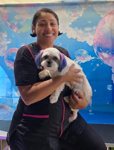 Smiling pet groomer holding a small white dog with purple dyed ears in front of a blue bubble backdrop.