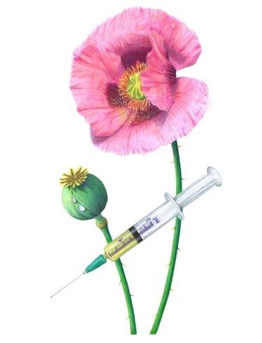 Heroin illustration