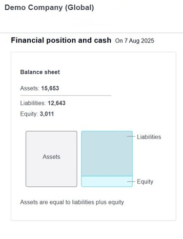 Xero Demo Company - Image Representation