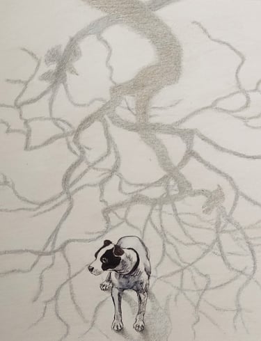 This drawing is made of silverpoint and watercolor ink and depicts a dog surrounded by shadows