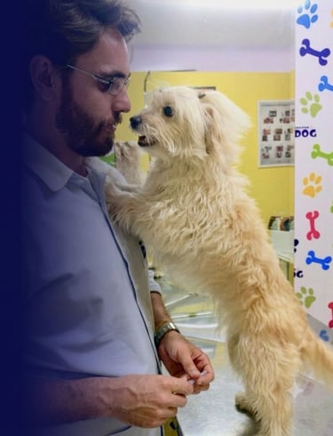 Vacina Cão e Vacinas Gato em Maringa