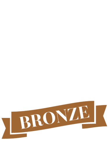 the portrait masters