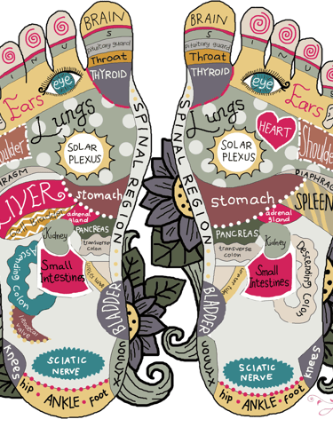 Download Foot Reflexology Map for Bulse Pulse Point Remedies