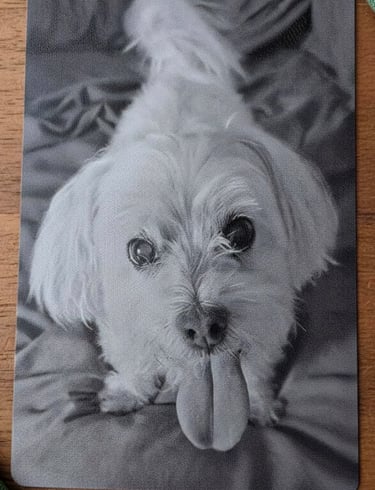 Grabado de fotografía personalizada en blanco y negro en tarjeta de aluminio de acabado premium