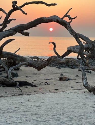 Jekyll Island sun rise, Georgia, boneyard beaches