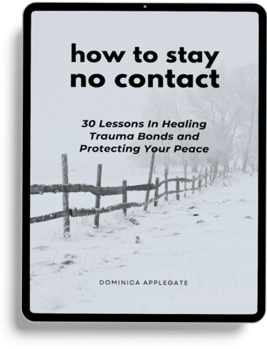 Ebook cover for How to Stay No Contact by Dominica Applegate, featuring a snowy fence landscape.