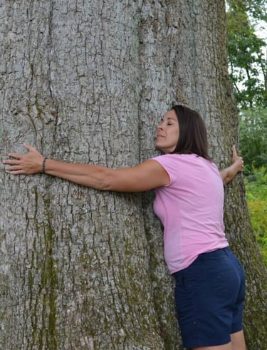 Awakened Stories Sue Greenwald