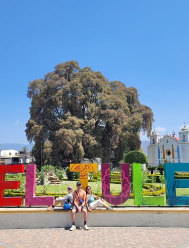 Árbol del Tule Oaxaca