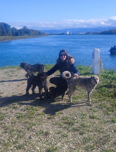 Promenade le long du Rhin