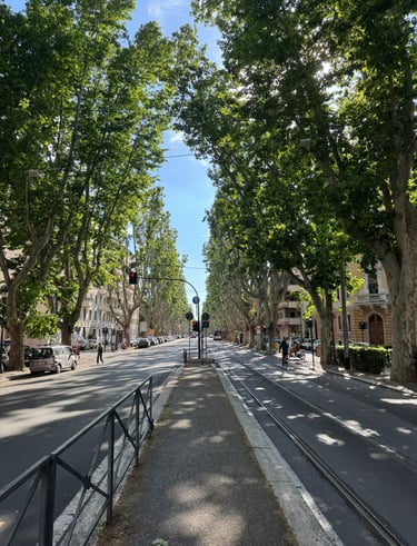 A beautifull street, full of nature in the middle of Rome