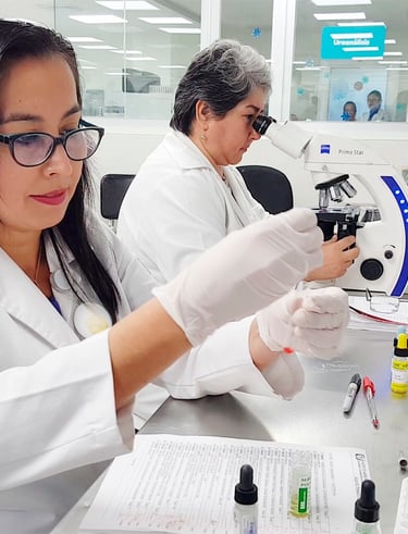 Bolsa de Trabajo IMSS Bolsa de Trabajo ISSSTE Bolsa de Trabajo DIF