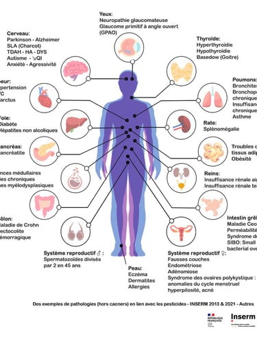 PESTICIDES SANTÉ MALADIES TROUBLES