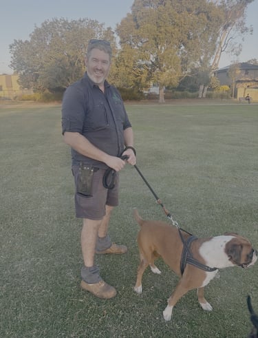 Simon - Trustworthy local