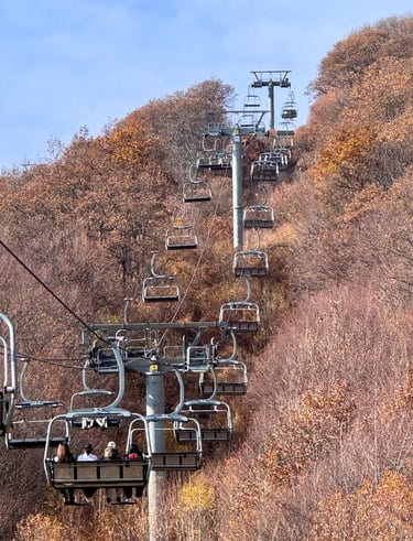 visa-services-in-dubai