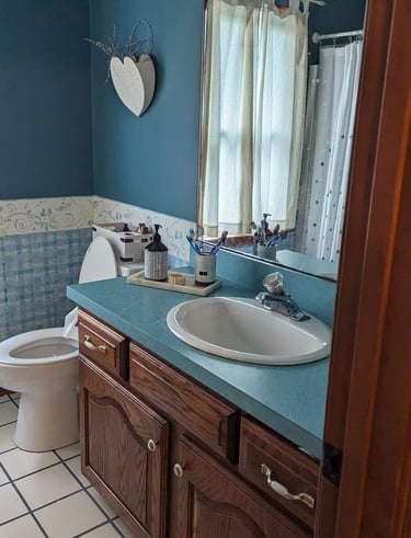 Before Pictures of Guest Bathroom in Teal