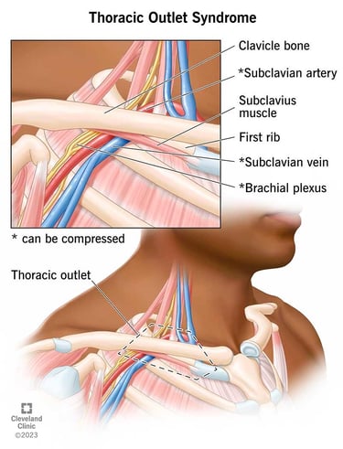 TOS chiropractor columbia sc