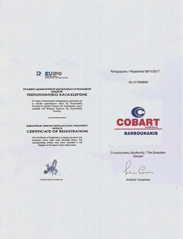 COBART BARBOUNAKIS Company article of Incorporation