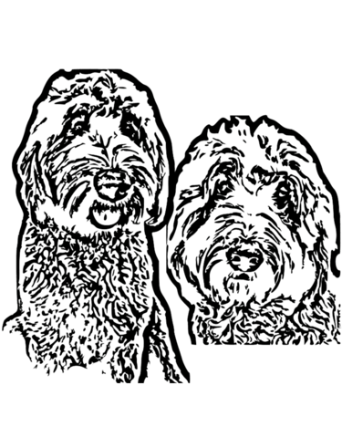 Minimalist line art illustration of two shaggy Labradoodle or Goldendoodle dogs on a black background.