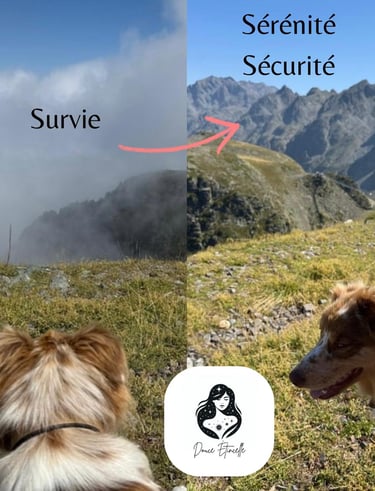 Mode survie