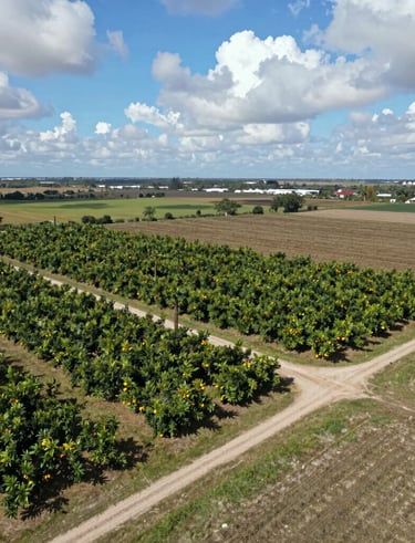 Badge icons representing 20+ years experience, NMLS licensed, and multi-state broker.