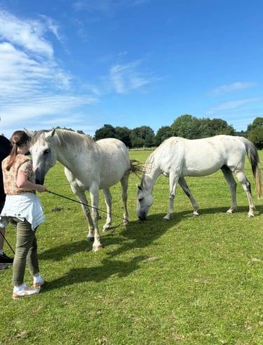 Les rendez-vous du vendredi équi-coaching deux chevaux cavalière approche des chevaux