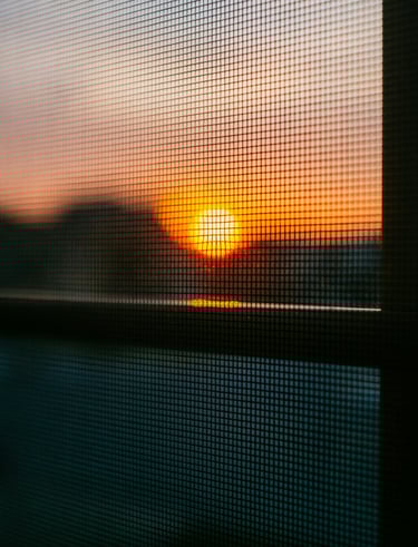 Sunset behind a window screen