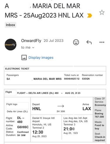 Confirmación de vuelo por email