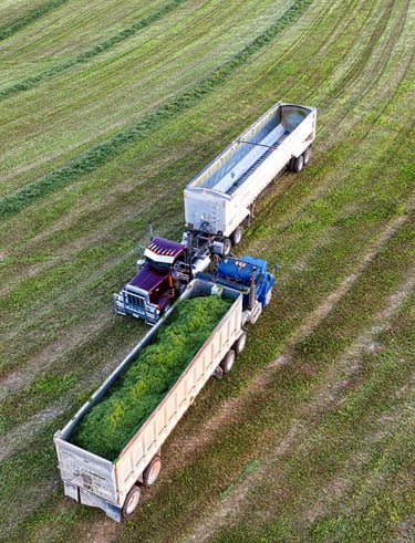 Truck on farm
