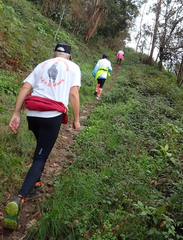 3 people climbing a grassy path
