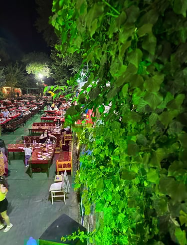 Diyarbakır Eyvan Gecesi