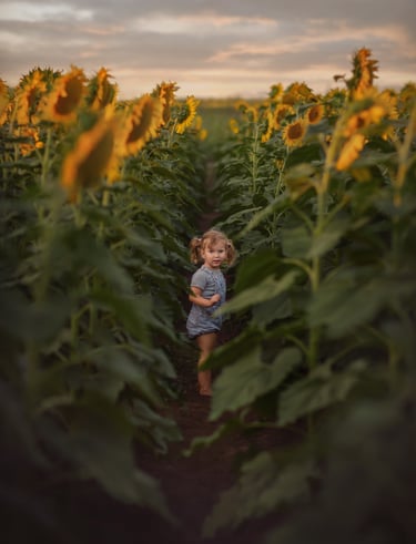 a little girl standing in a field of sunflowers