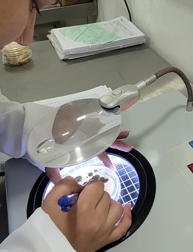 Profissionais do Laboratório AMB realizando análises laboratoriais em ambiente técnico equipado."