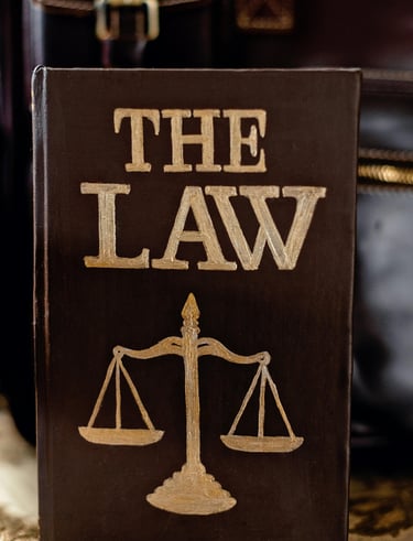 Almanya'da hukuk, Almanya'da boşanma, almanya ulusal vizesi, Turkish passport,Citizenship investment