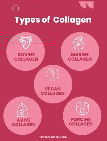 types of collagen