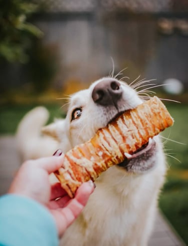 /dog-treats/trachea