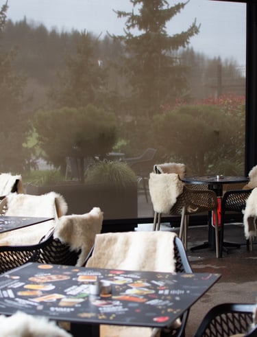 kavarna skandi domžale ambient