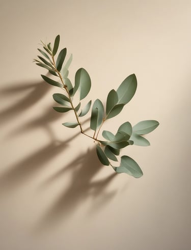 A calm corner with a sage green plant, cream textiles, and warm stone accents creating a peaceful nook.