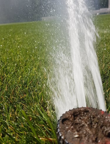 a sprinkler sprinkler sprinkles in the grass