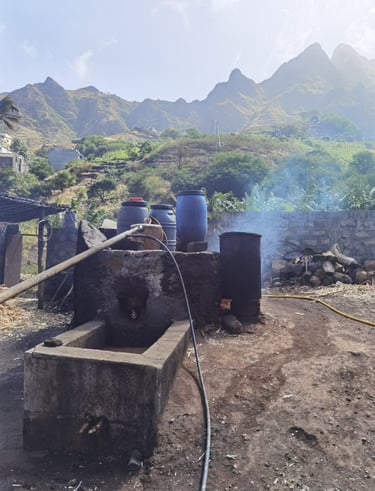 Santo Antao Rum Distillery in Cape Verde