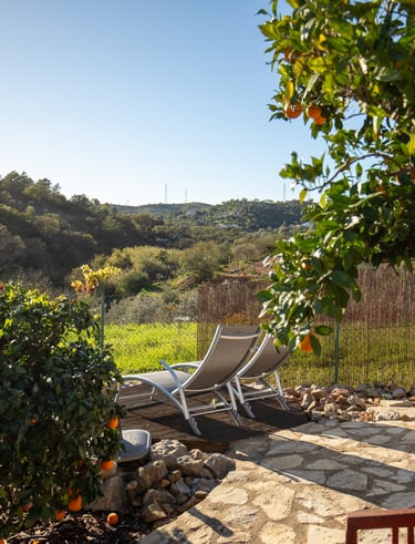 a chair and a chair in a garden