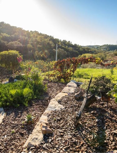 a garden with a path leading to a hillside