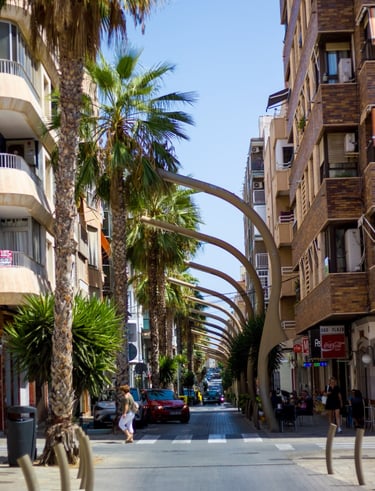 a street scene with palm trees and a man on a skateboard