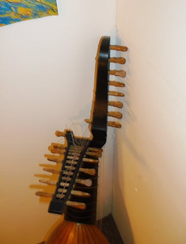12 course lute pegbox