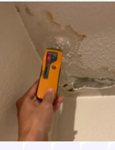 recherche de fuite d eau test d humudité lyon 6