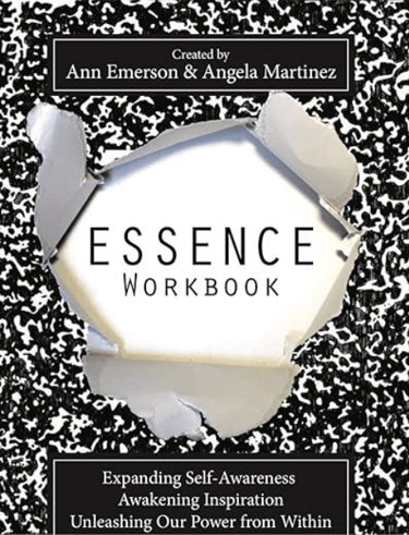 ESSENCE Workbook
